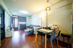 Blk 165 Stirling View (Queenstown), HDB 3 Rooms #611946601